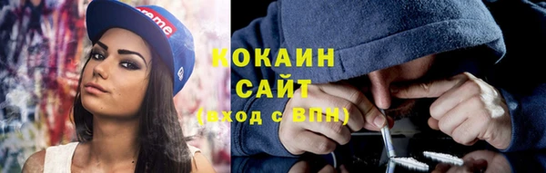 шишки Верея