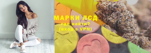 шишки Верея