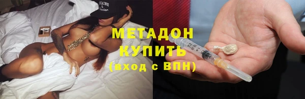 шишки Верея