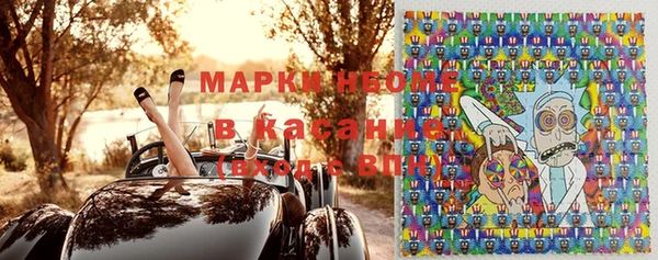 шишки Верея