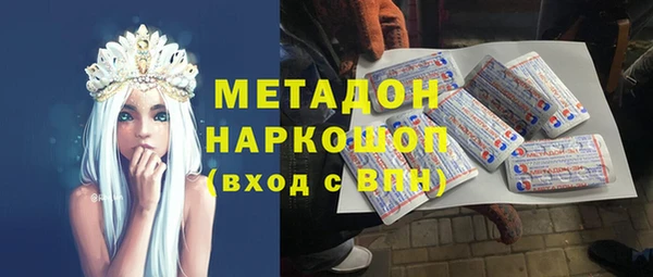 шишки Верея